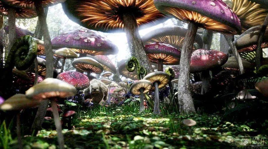重装系统删除所有文件